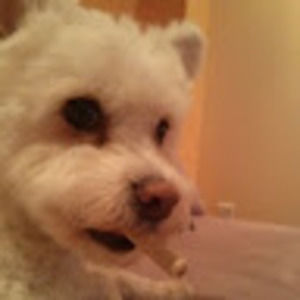 Meet your Posher, Carol